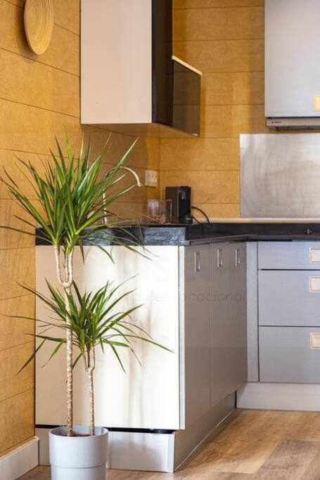 Puerto 1Llanes Suites By Silastur Buitenkant foto