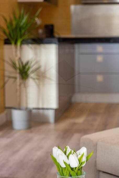 Puerto 1Llanes Suites By Silastur Buitenkant foto